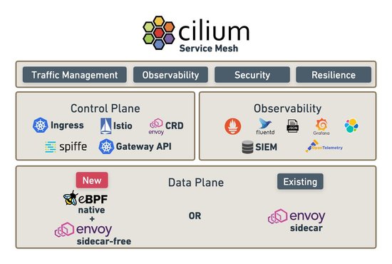 오픈소스 네트워크 소프트웨어 실리움, 서비스 메시 기��능 추가